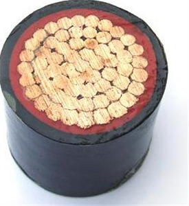 ZR-VV-1*300電力電纜